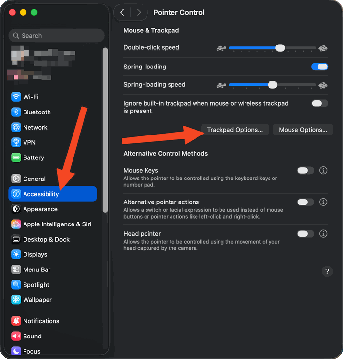 System Settings with Accessibility selected in the sidebar and the Pointer Control page open. Arrows mark Accessibility in the sidebar and the Trackpad Options button below the Mouse and Trackpad settings.